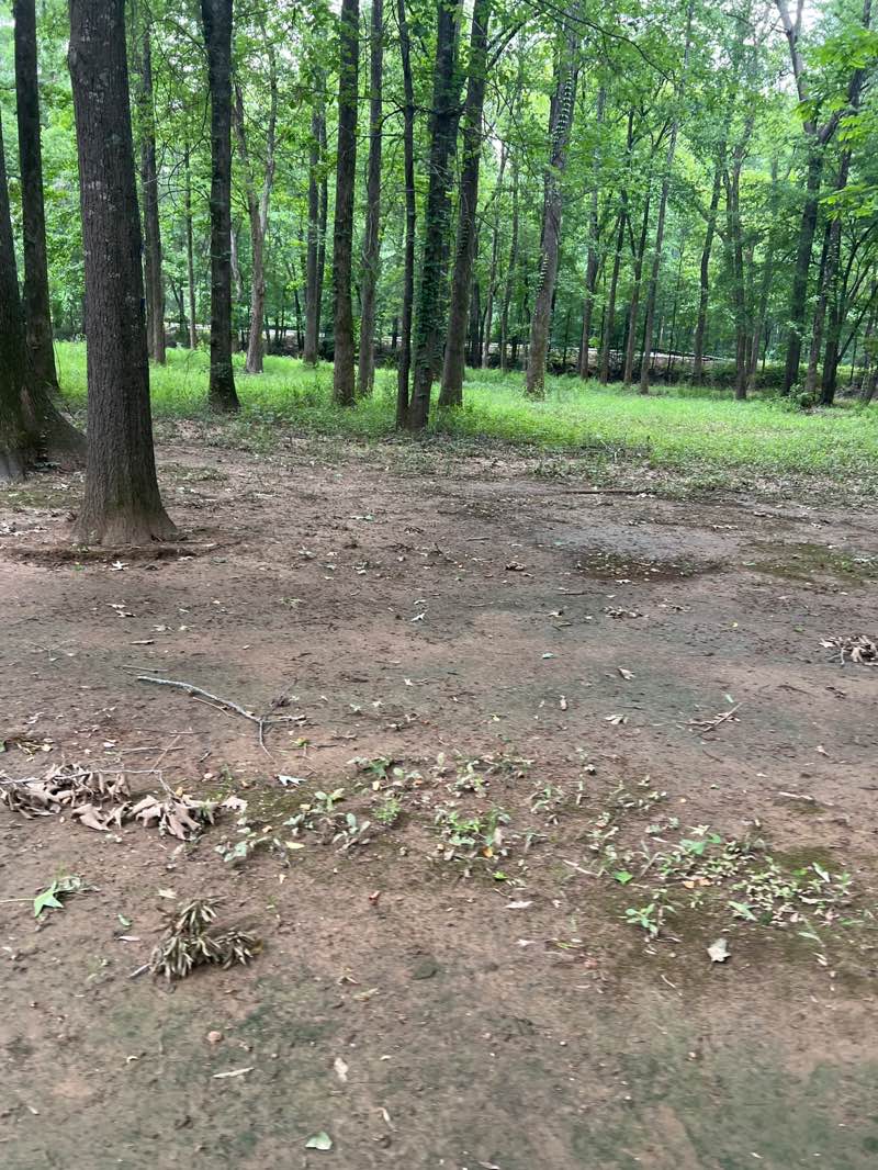 walking near me in Lois Jackson Park in spring