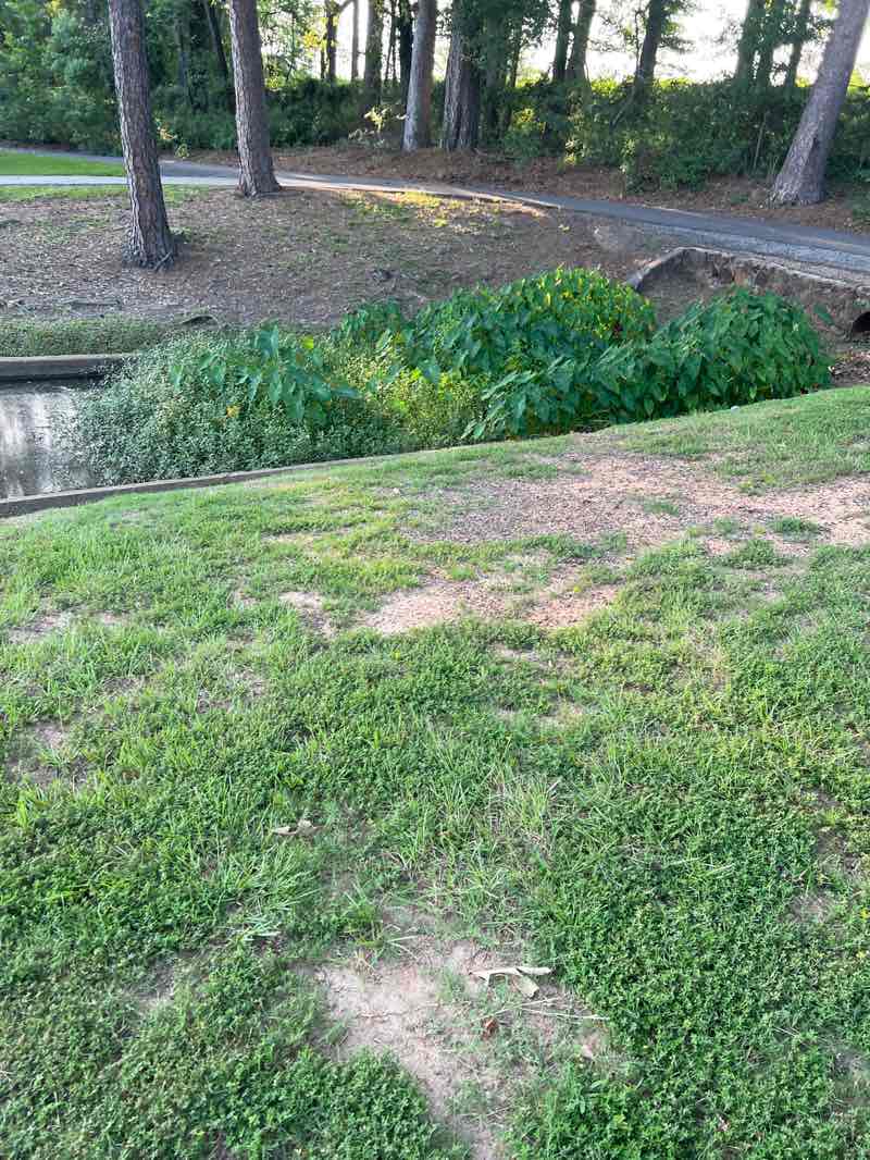 walking near me in Teague Park in summer