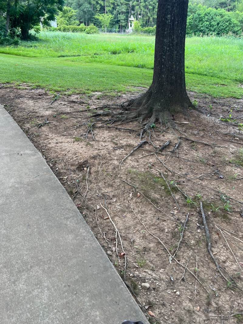 walking near me in Paul G Boorman Trail Park in summer