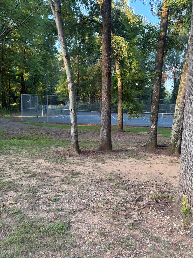 walking near me in Akin Park in summer