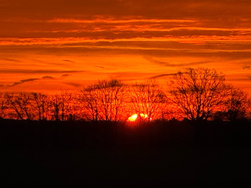 walking near me in Prinz-Moritz-Park in winter