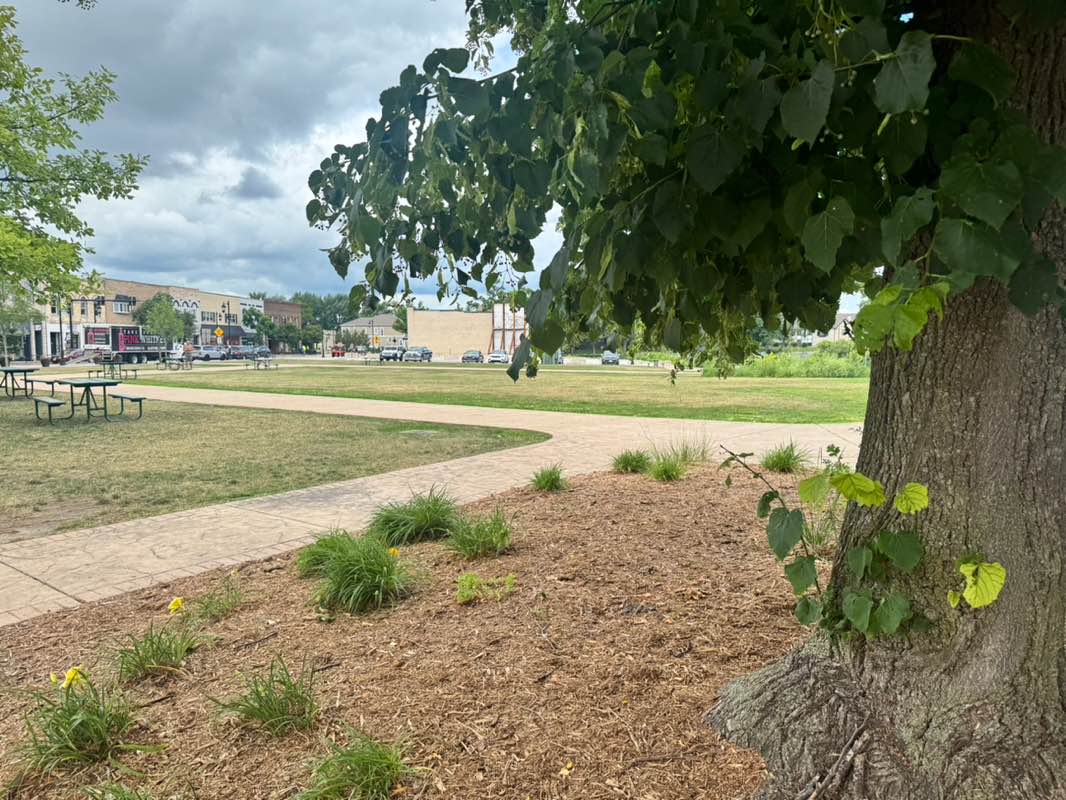 walking near me in Village Green in summer
