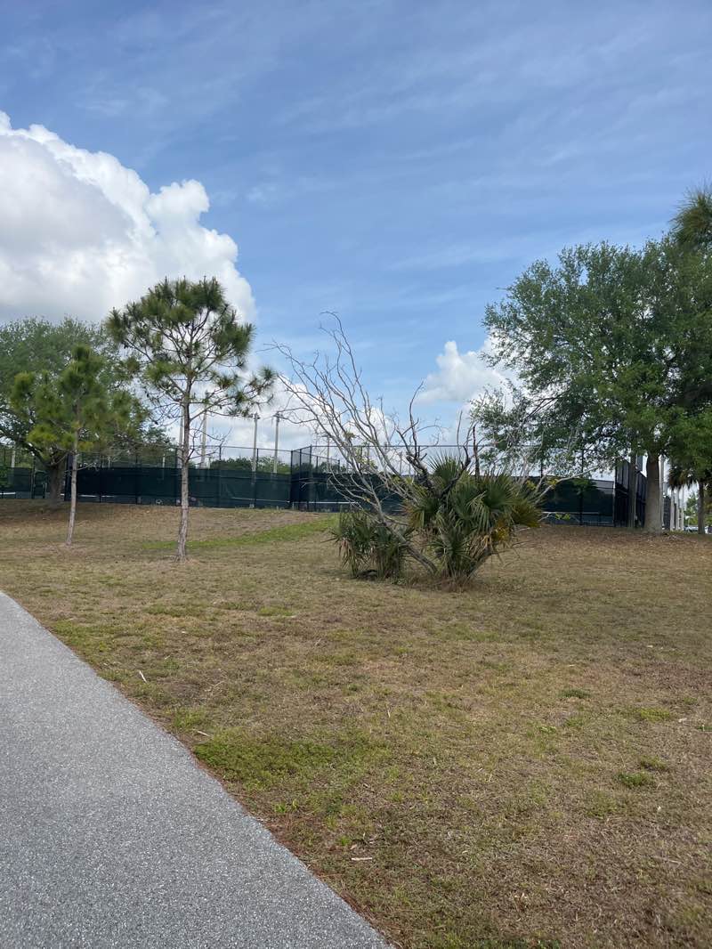 walking near me in Okeeheelee Park in spring