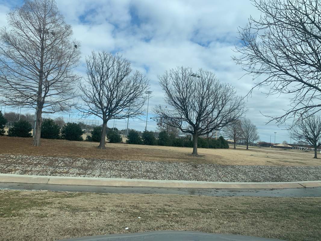 walking near me in Carpenter Park in winter