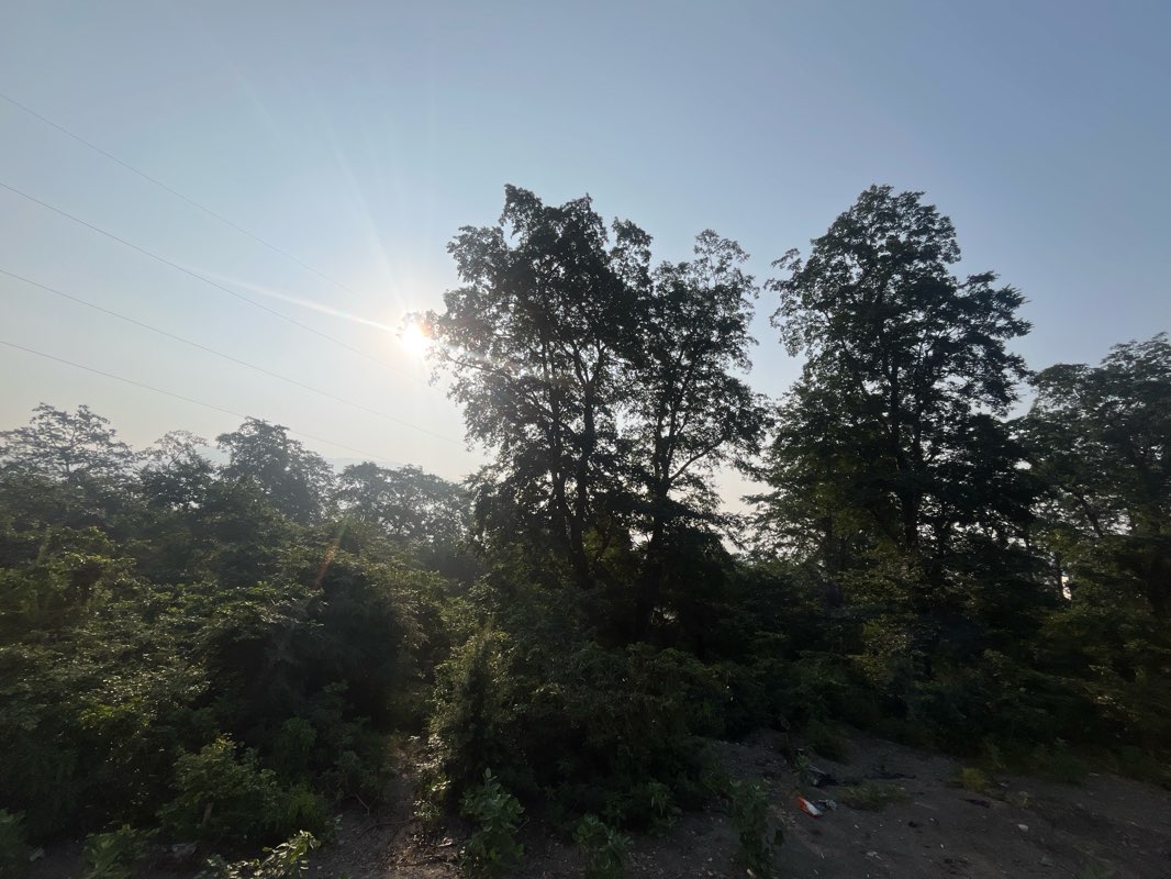 walking near me in garden park in winter