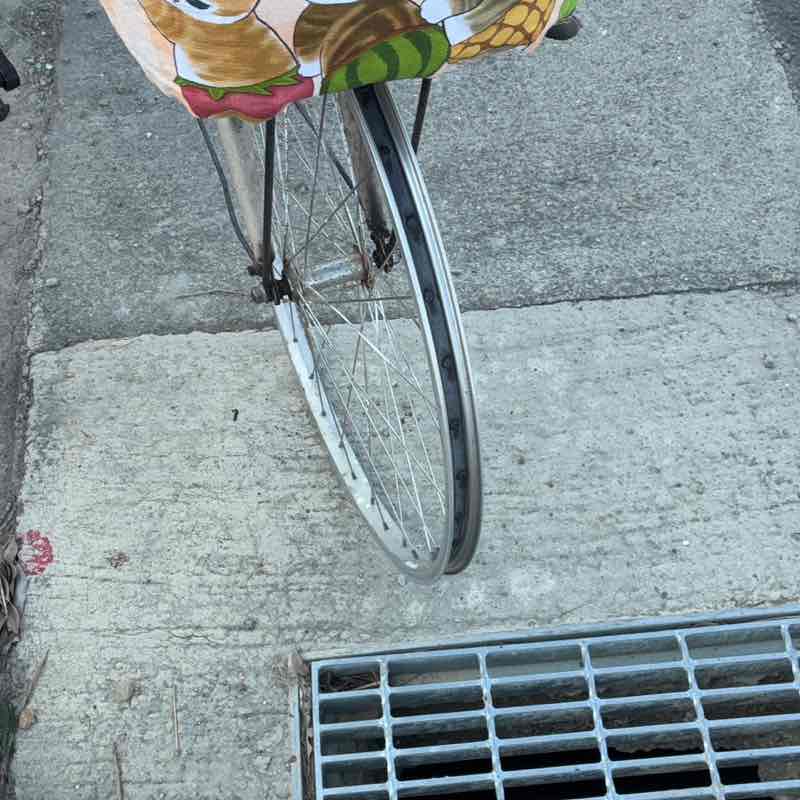 每天萬步人生路…🏃🏃 國洋（蘋果8734） post image