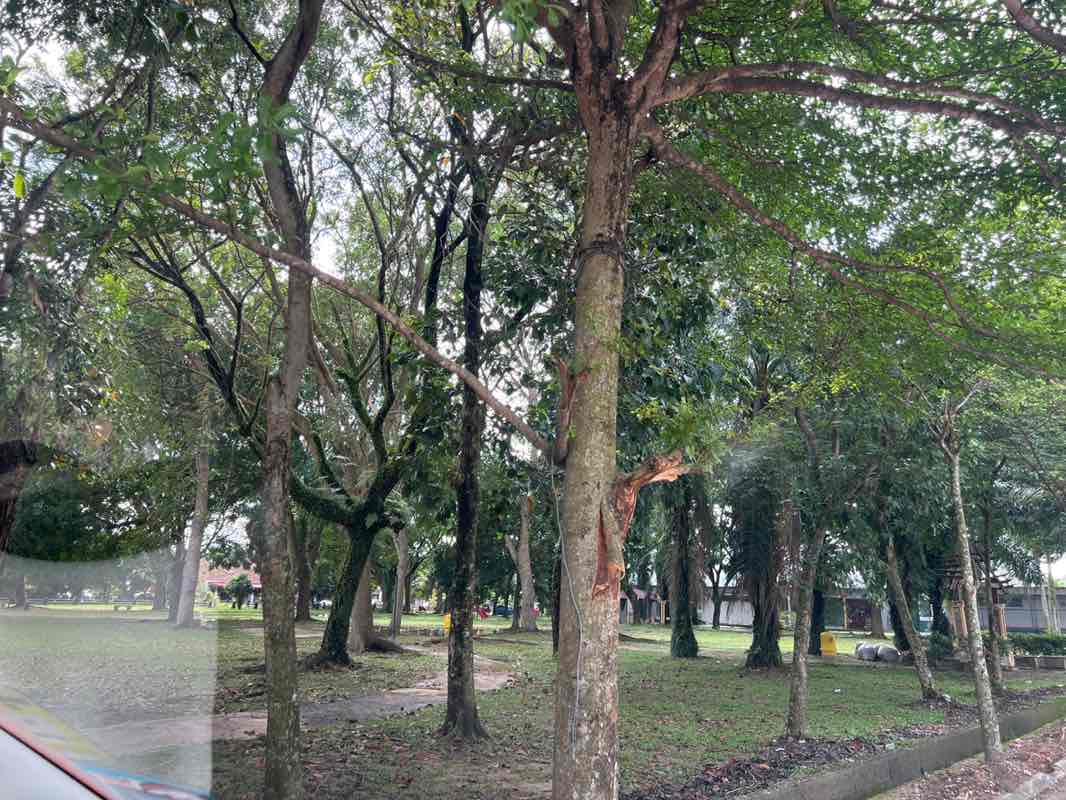 walking near me in Setia Alam Western Park in winter