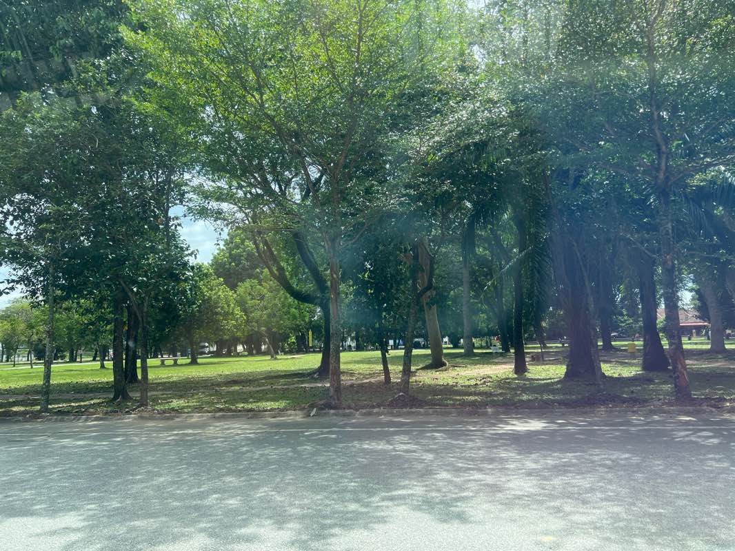 walking near me in BBR Sales Gallery Park in winter