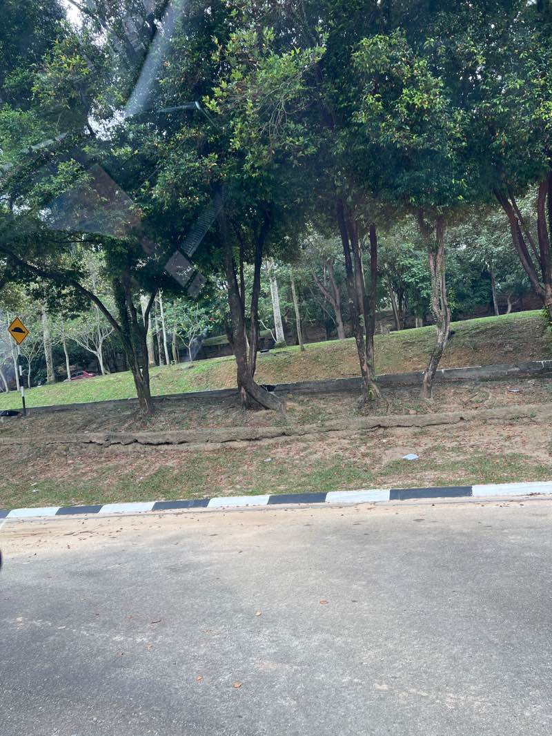 walking near me in Royal Klang Park in winter