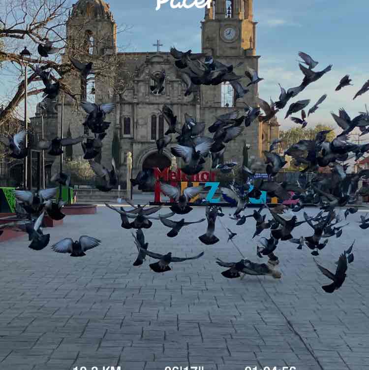 José 🇲🇽 post 1