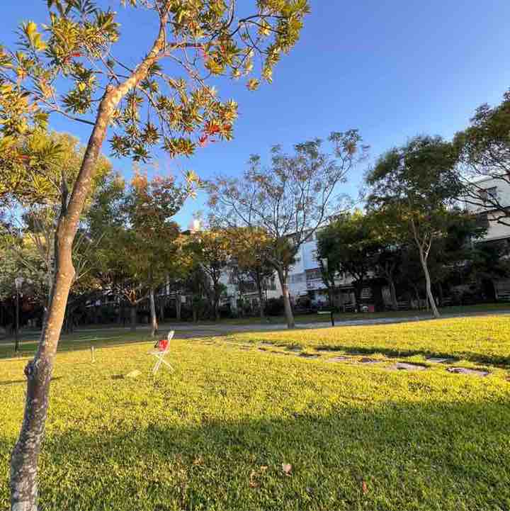 自由自在走自己的路 開心果🦄SHOW🌹 post image