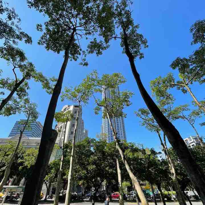 🇹🇼🏃🏼‍♀️👣💕明月心💕👣🏃🏼‍♀️🇹🇼 post 2