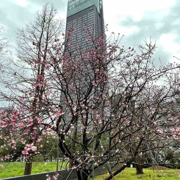 🇹🇼🏃🏼‍♀️👣💕明月心💕👣🏃🏼‍♀️🇹🇼 post 2