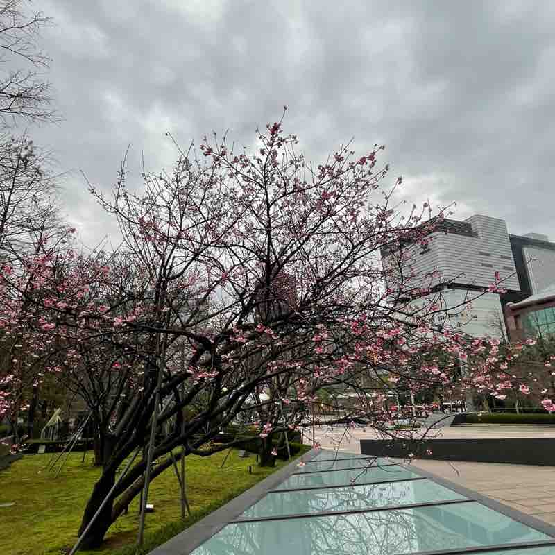 🇹🇼🏃🏼‍♀️👣💕明月心💕👣🏃🏼‍♀️🇹🇼 post 3