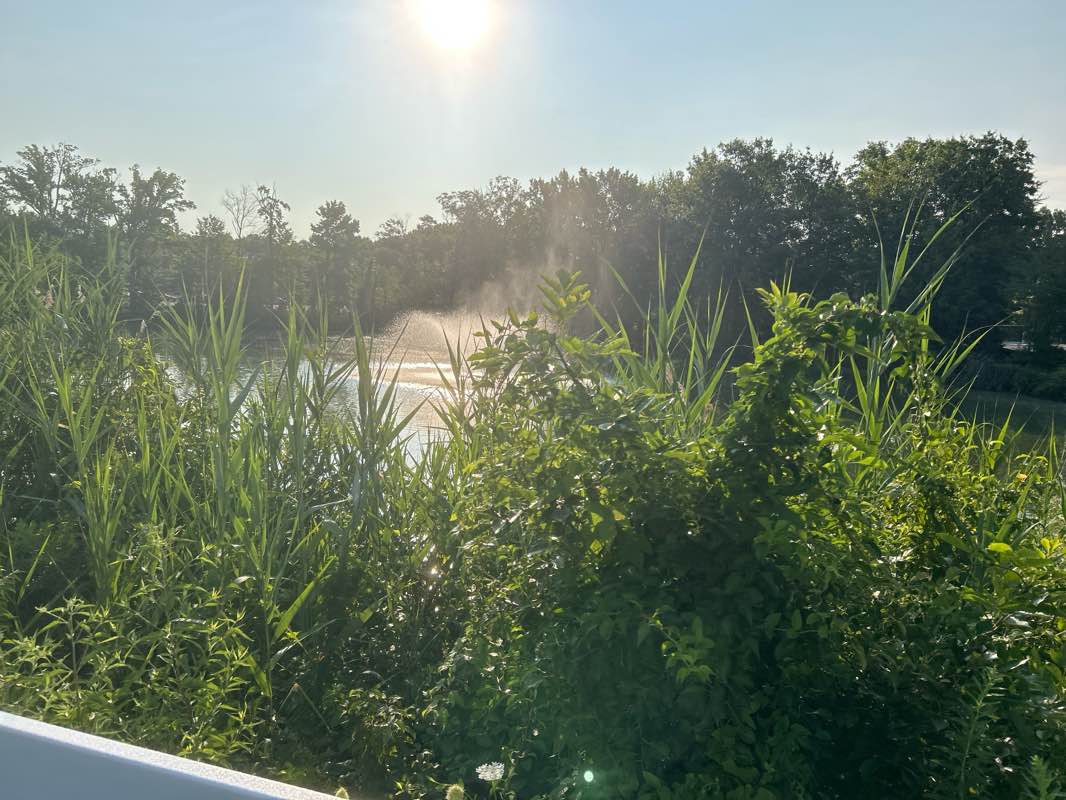 walking near me in Oak Tree Pond Park in summer