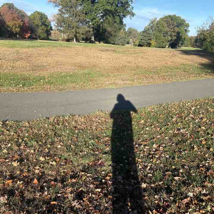 M Mahender Reddy post 1