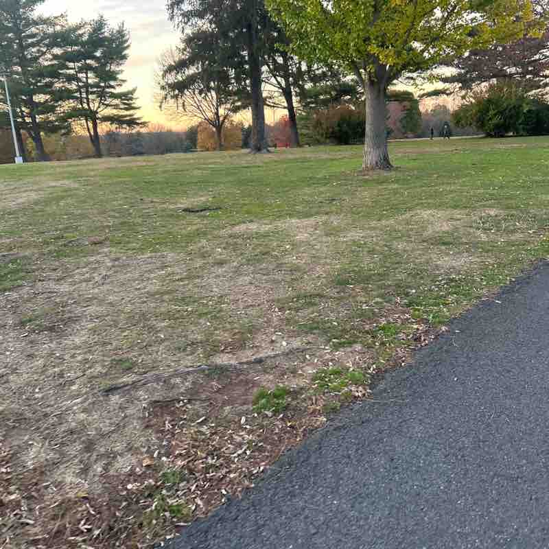 M Mahender Reddy post 1