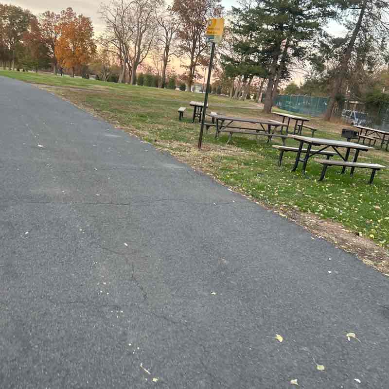 M Mahender Reddy post 2