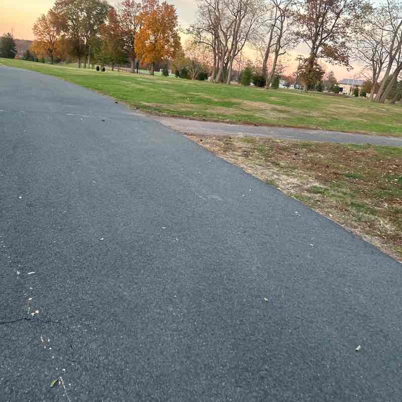 M Mahender Reddy post 3