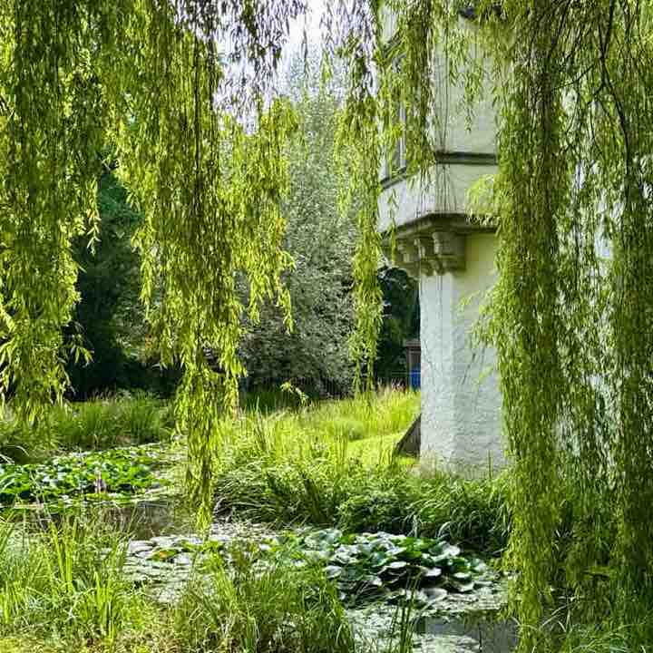 Freunde von Fridu Hansruedi 🇨🇭 post image