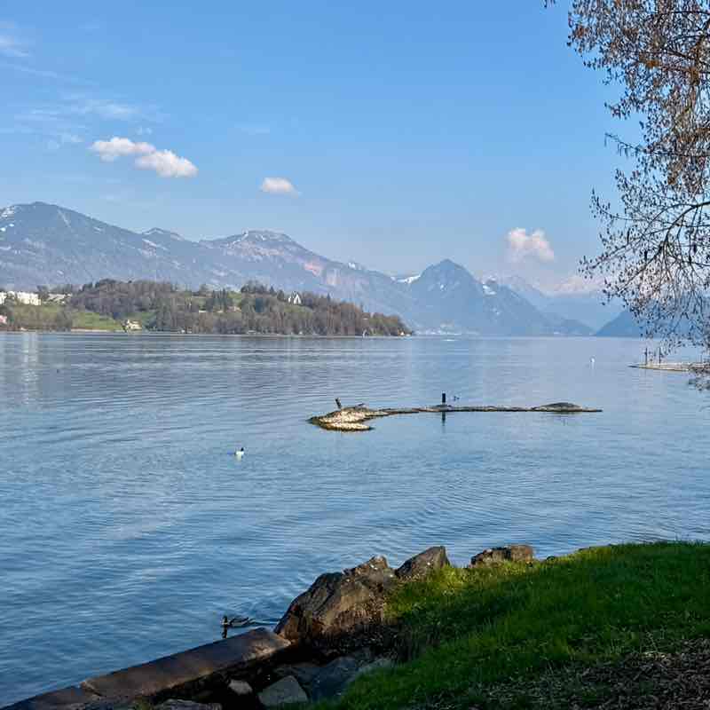 Hansruedi 🇨🇭 post 2