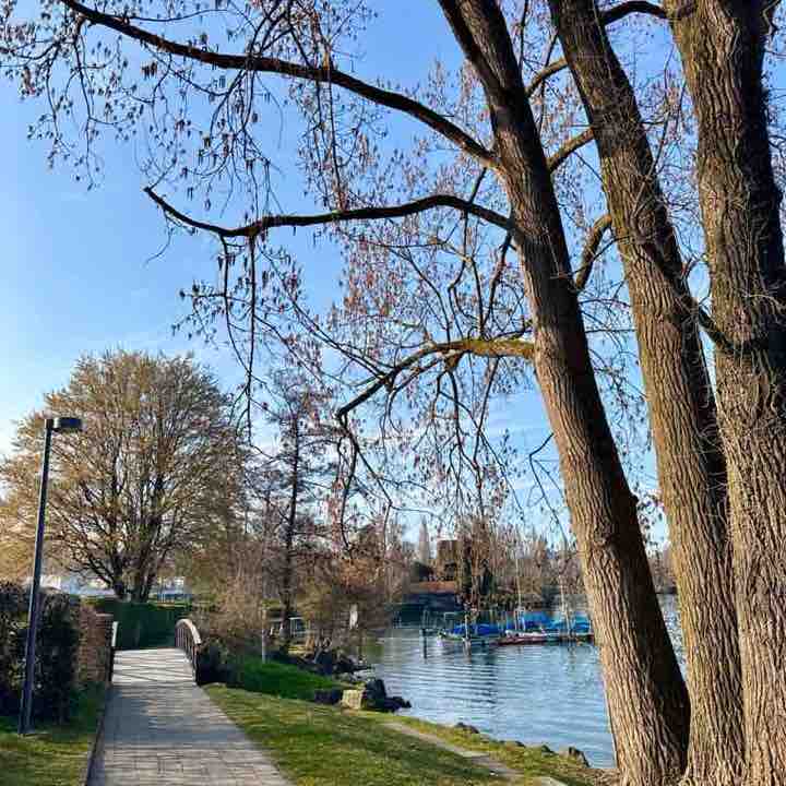 Hansruedi 🇨🇭 post 1