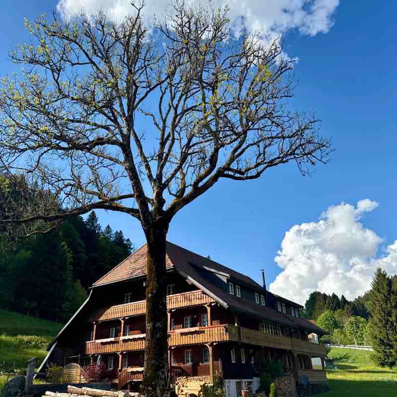Hansruedi 🇨🇭 post 1
