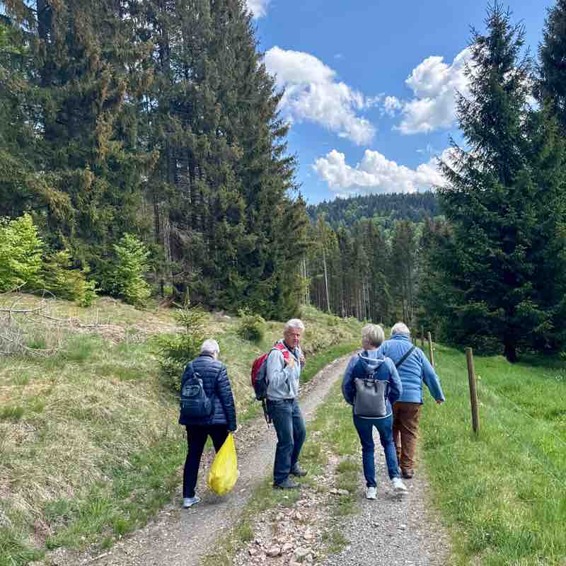 Hansruedi 🇨🇭 post 3