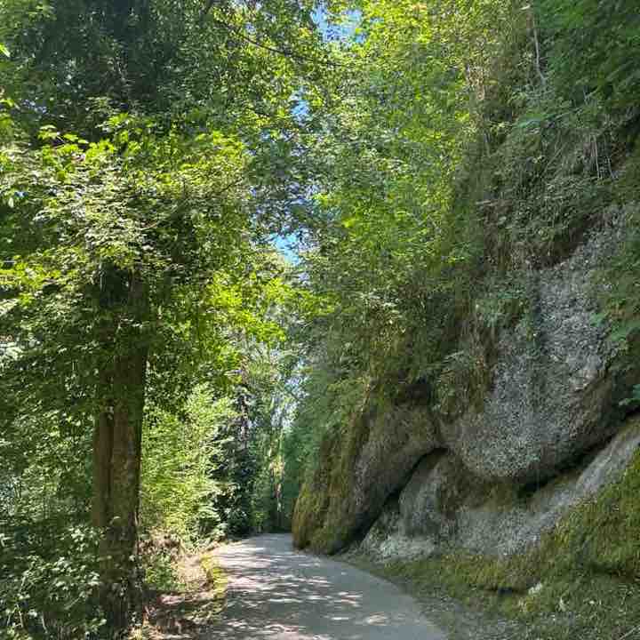 Hansruedi 🇨🇭 post 3