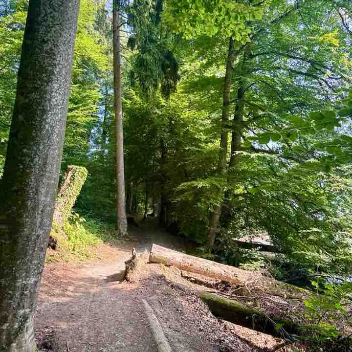 Hansruedi 🇨🇭 post 2