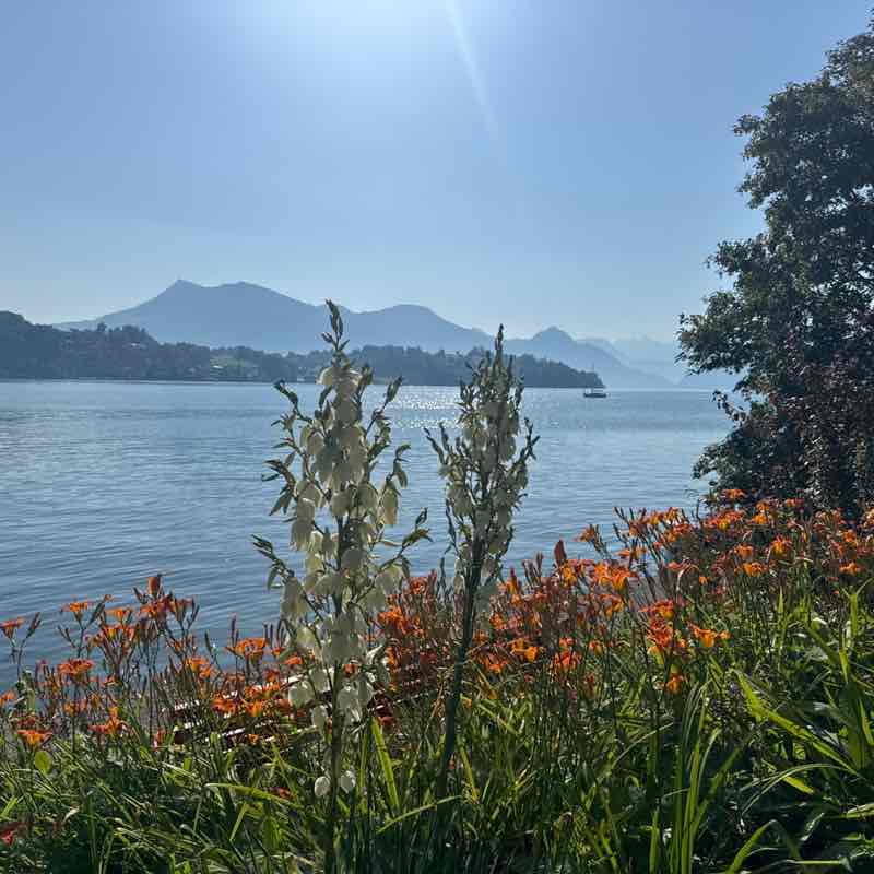 Hansruedi 🇨🇭 post 3