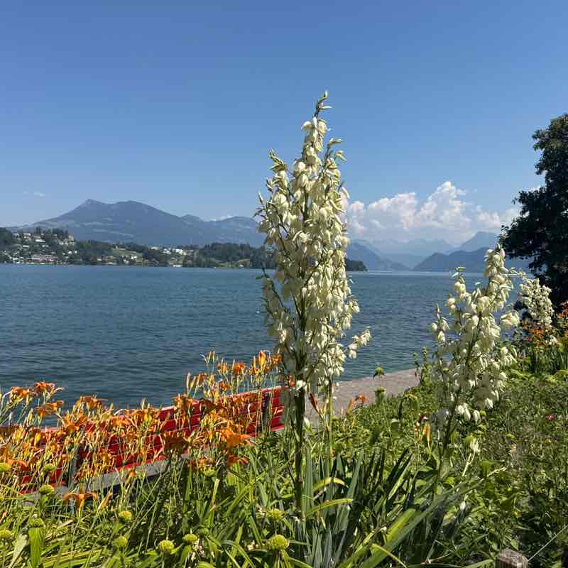 Hansruedi 🇨🇭 post 1