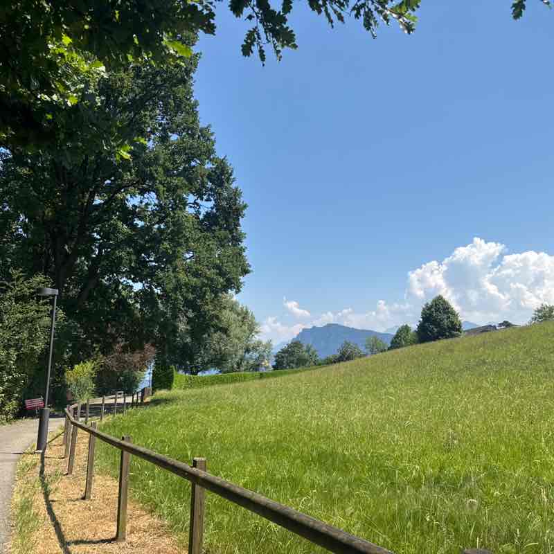 Hansruedi 🇨🇭 post 2