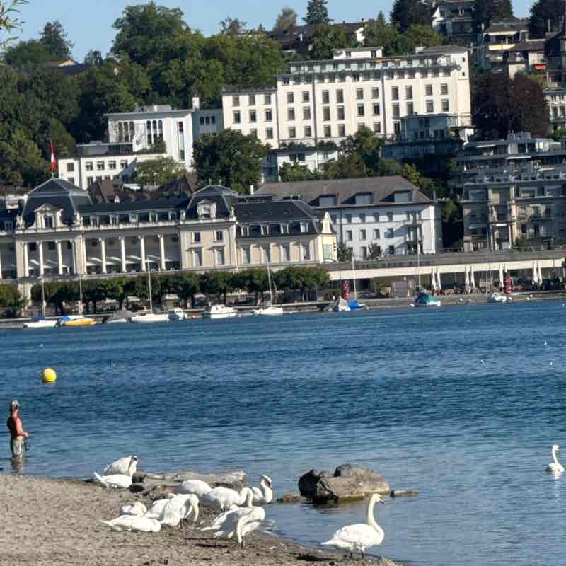 Hansruedi 🇨🇭 post 3