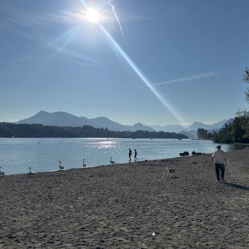 Hansruedi 🇨🇭 post 2