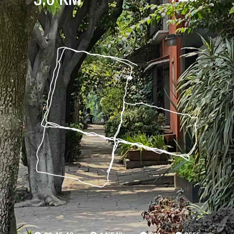 Gerardo Murguia ®️ post 1