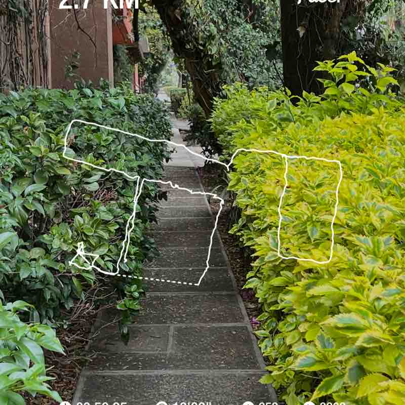 Gerardo Murguia ®️ post 1