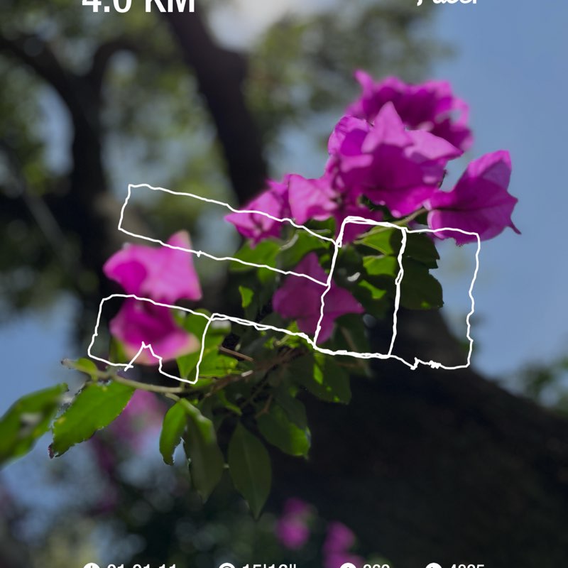 Gerardo Murguia ®️ post 1