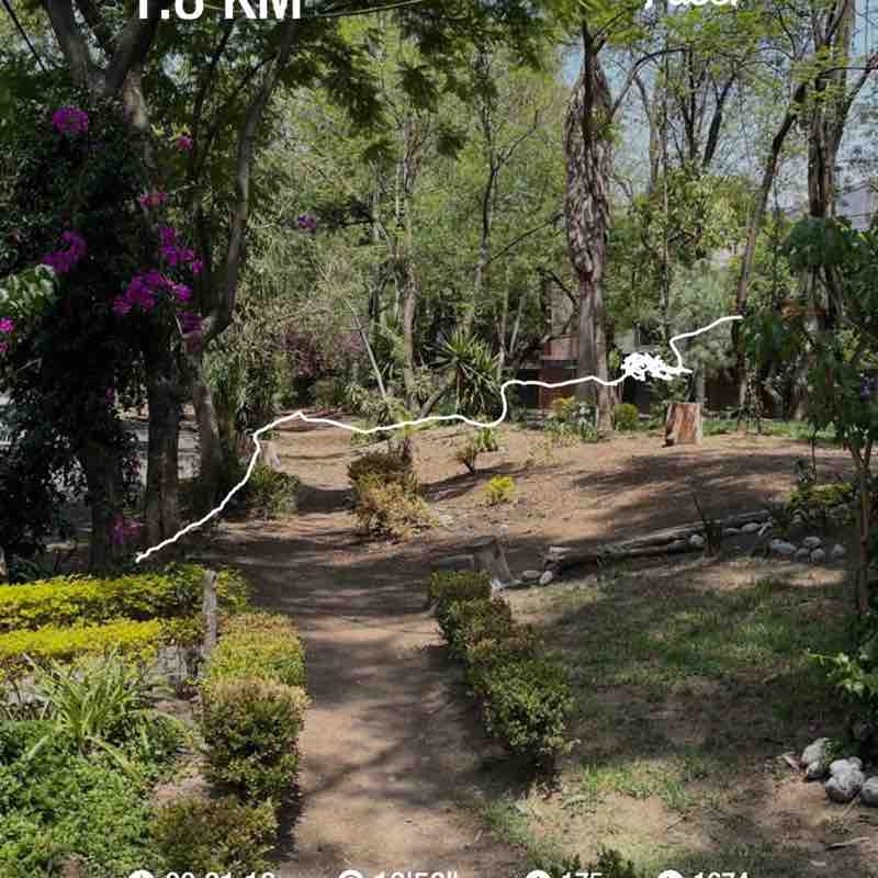 Gerardo Murguia ®️ post 1