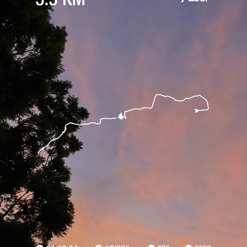 Gerardo Murguia ®️ post 1