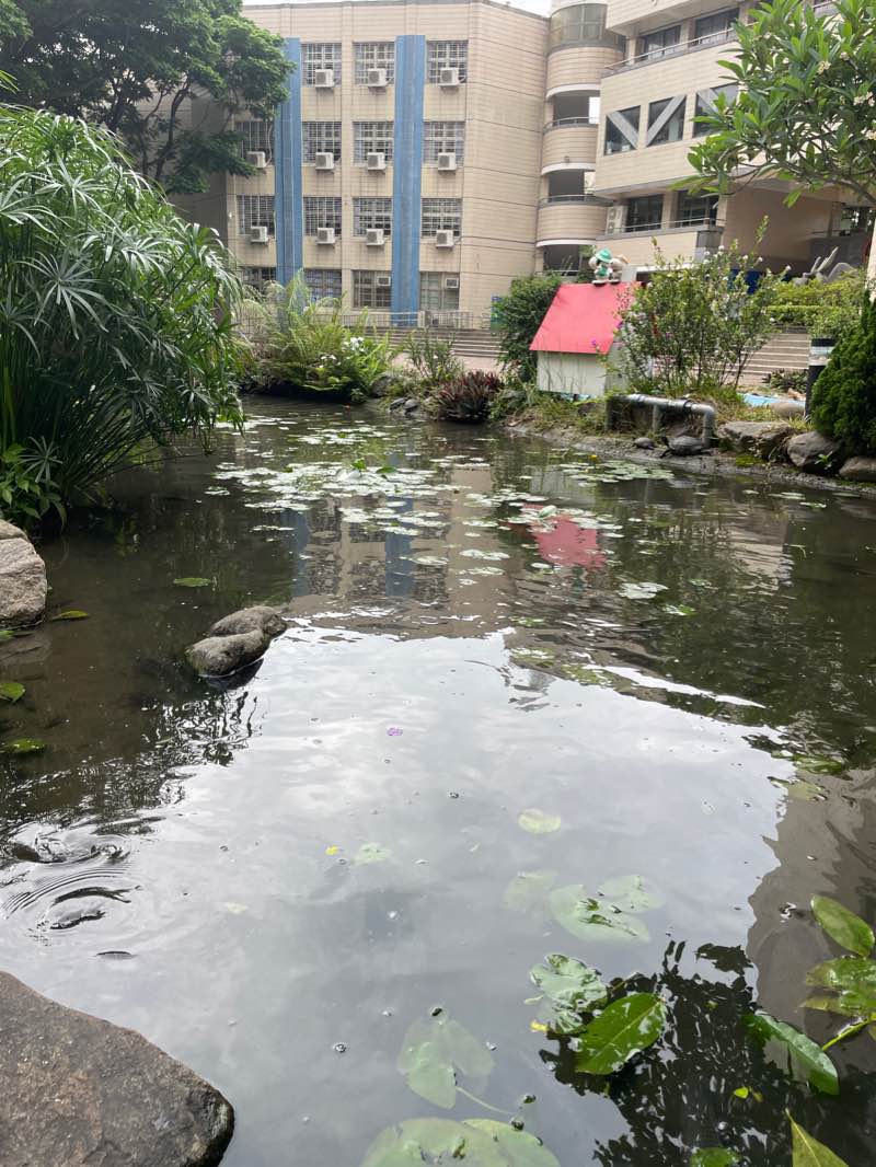 walking near me in 東興公園 in winter