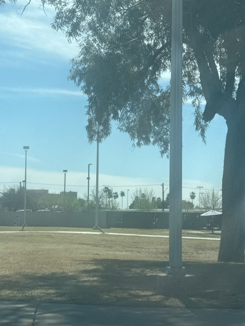 walking near me in Fitch Park in spring