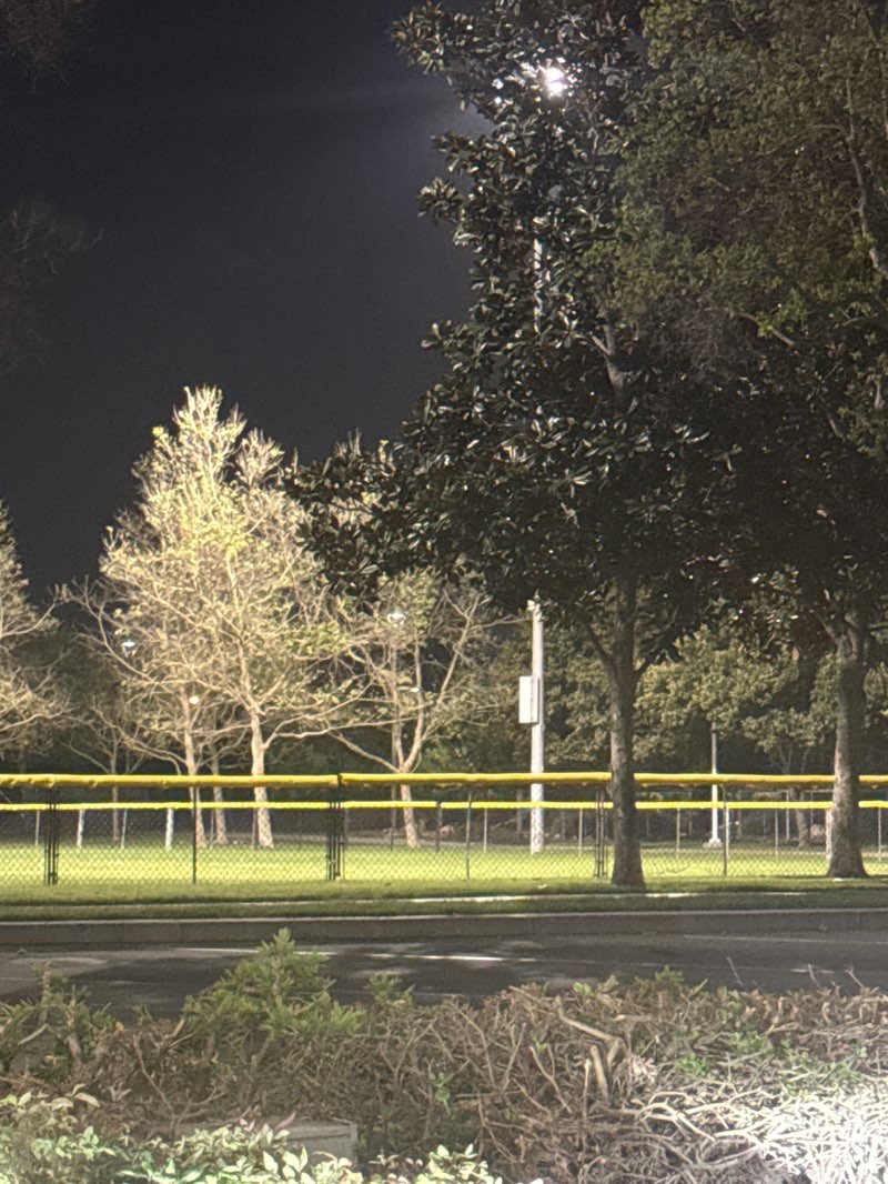 walking near me in Discovery Sports Complex in spring