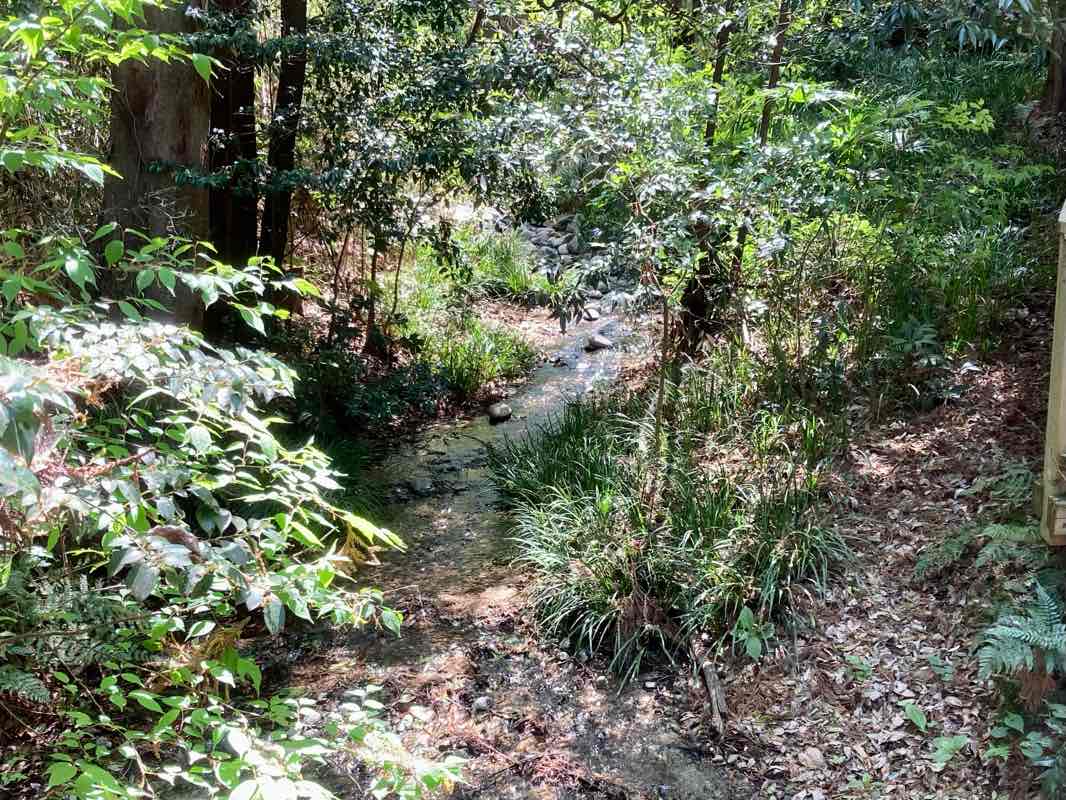 walking near me in 大泉公園 in winter