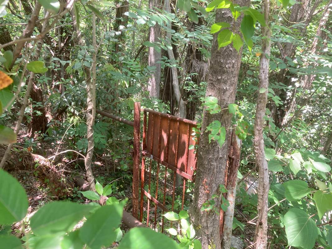 walking near me in Aobadai Park in winter