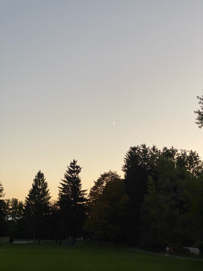 walking near me in Grove Street Park in winter