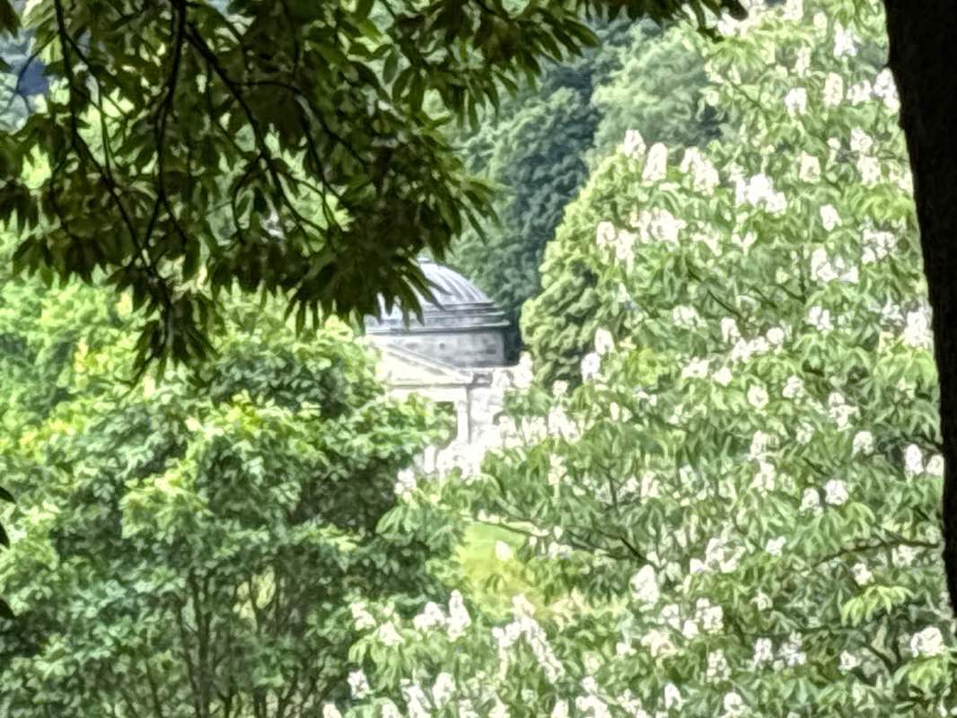 walking near me in Stourhead Park in summer