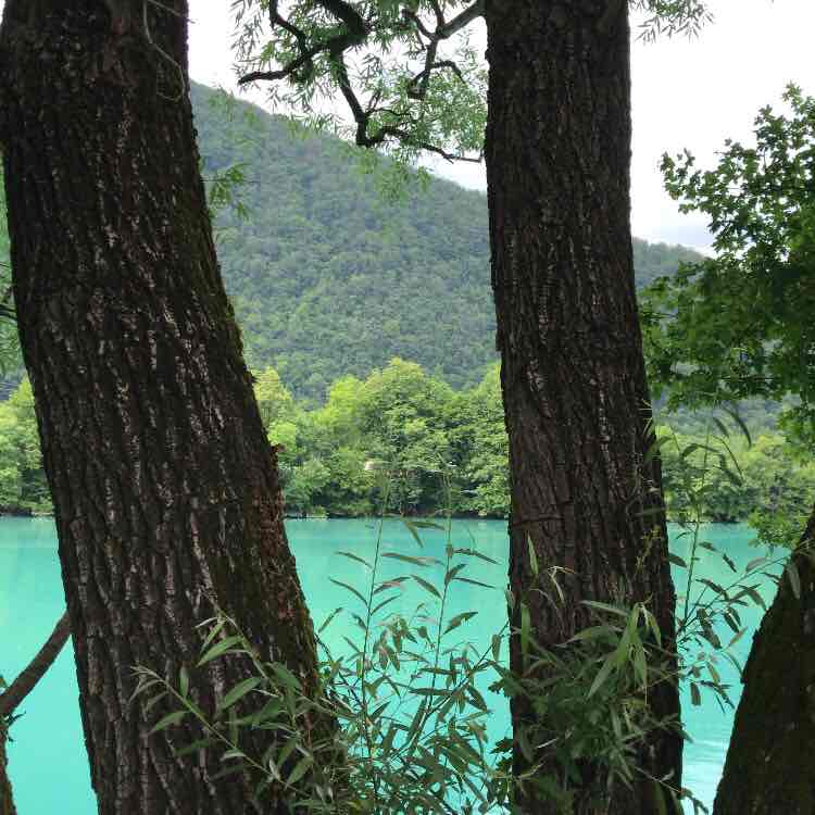 Michele Angelicchio post 2