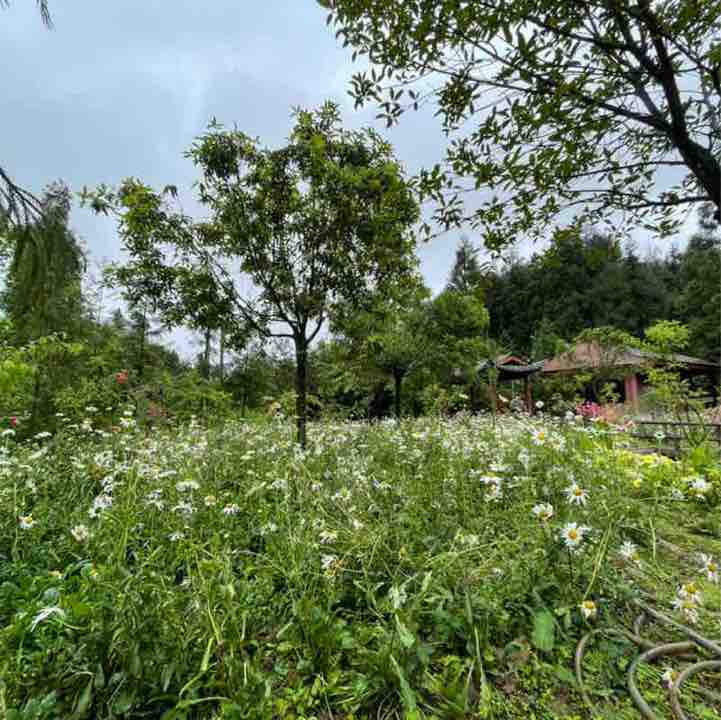 陳俊銘Jimmy post 3