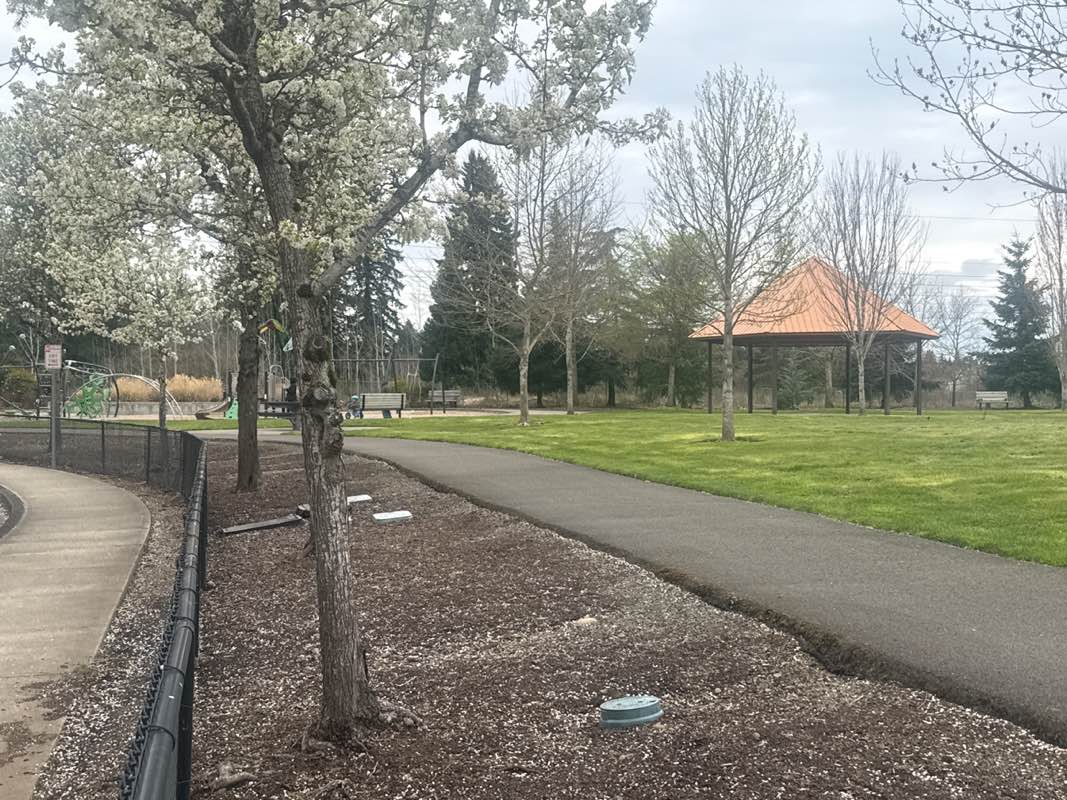 walking near me in First Place Park in spring